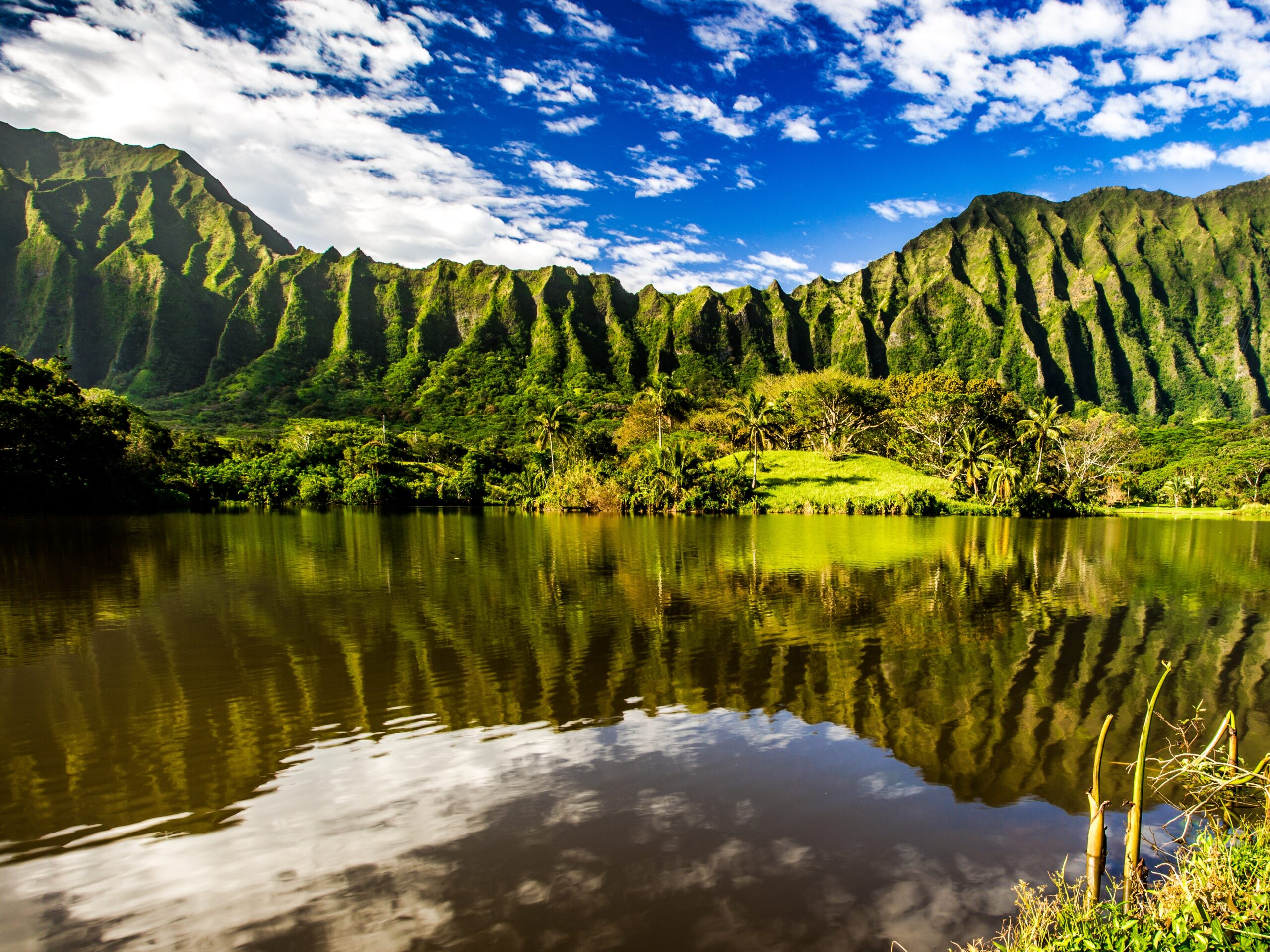 Windward Coast Oahu: Unveiling History, Natural Beauty, and Hidden 