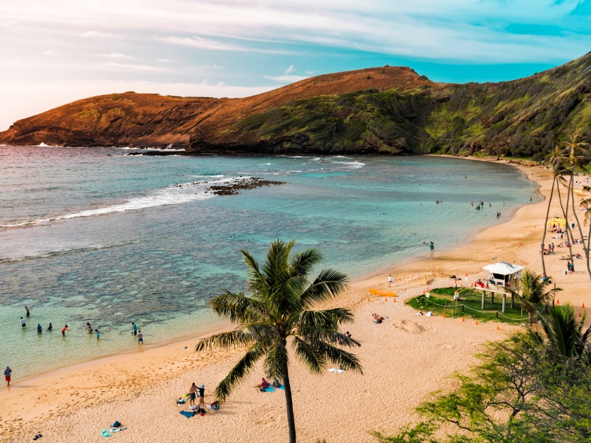 Palm tree on Hanauma Bay Beach, Hawaii. Selective focus with light effect applied