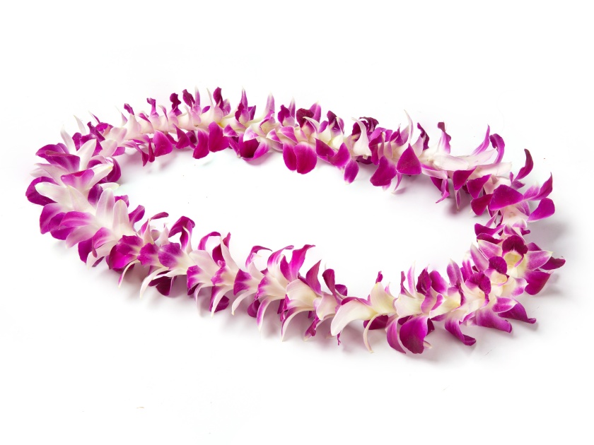 colorful hawaiian flower leis with hawaii