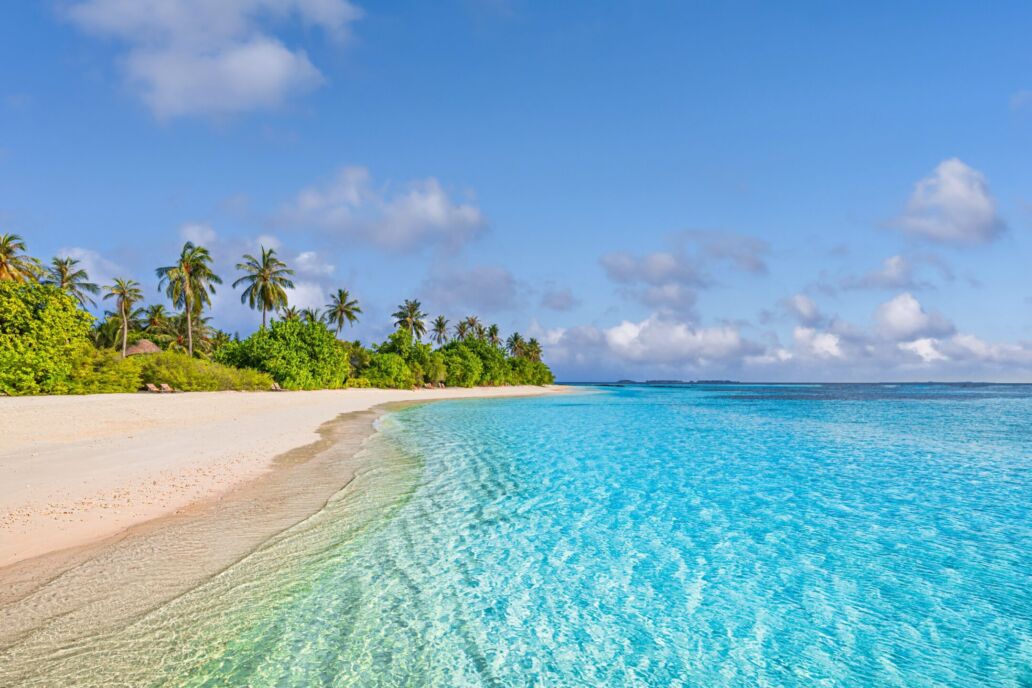 Amazing,Nature,Beach,With,Palm,Trees,And,Moody,Sky.,Summer