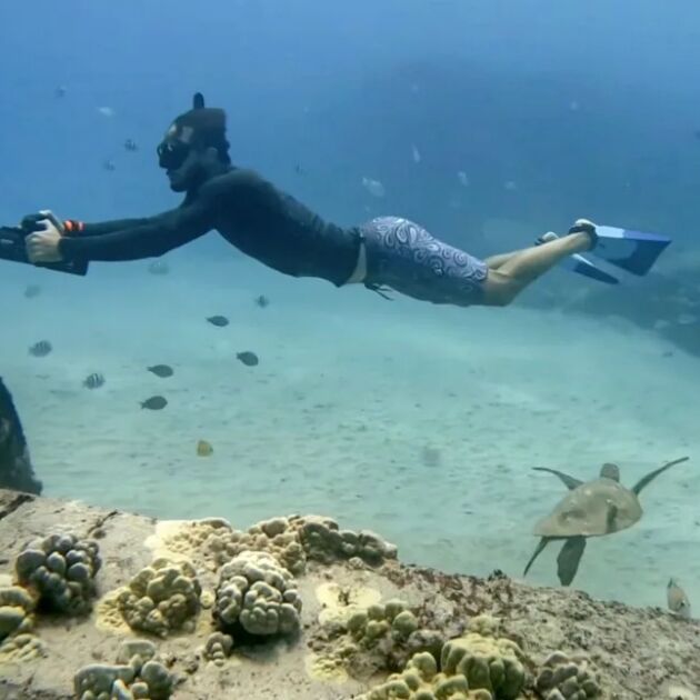 Jet Snorkel with Turtles at Electric Beach