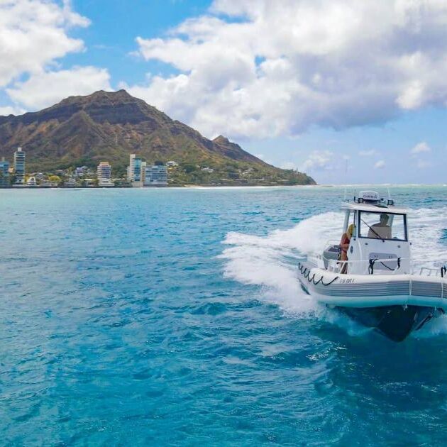 Semi-Private Waikiki Turtle Snorkel Tour - Island Splash