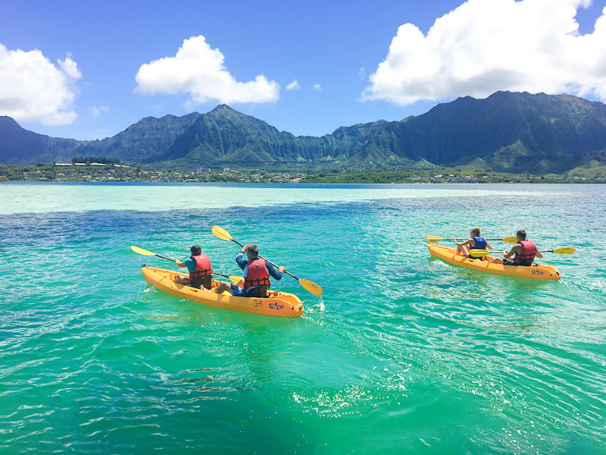 kaneohe sandbar kayak tour