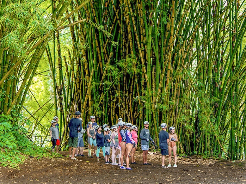 Kauai Backcountry Adventures