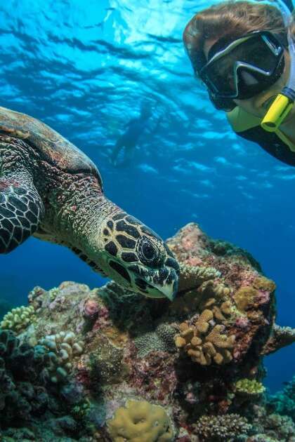 Man snorkeling with turtle