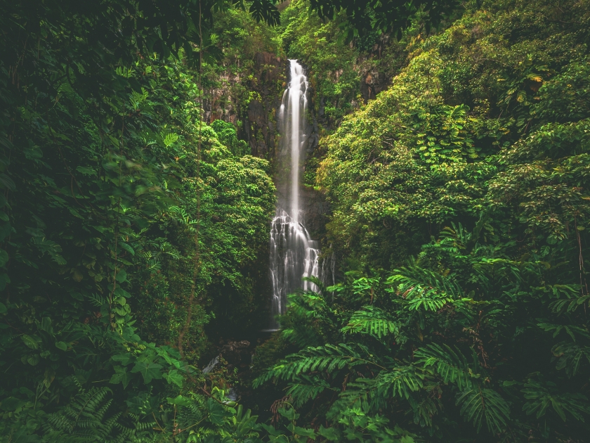 Wailua Falls on Maui (not to be confused with the same named falls on Kauai), cascading 80 feet into the jungle. Located outside the town of Hana and right off the Hana Highway, Hawaii, United States.