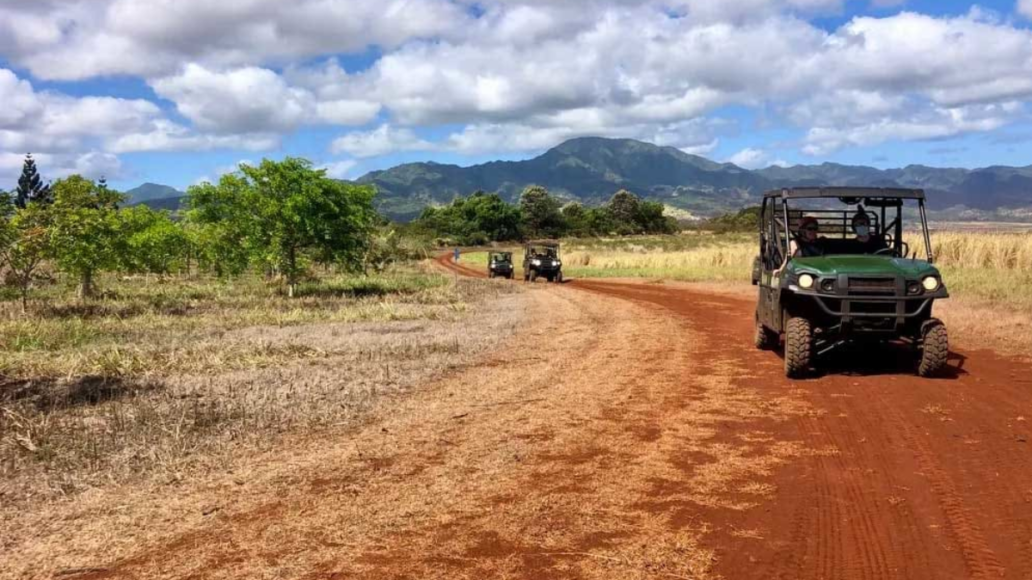 North Shore Eco Tours