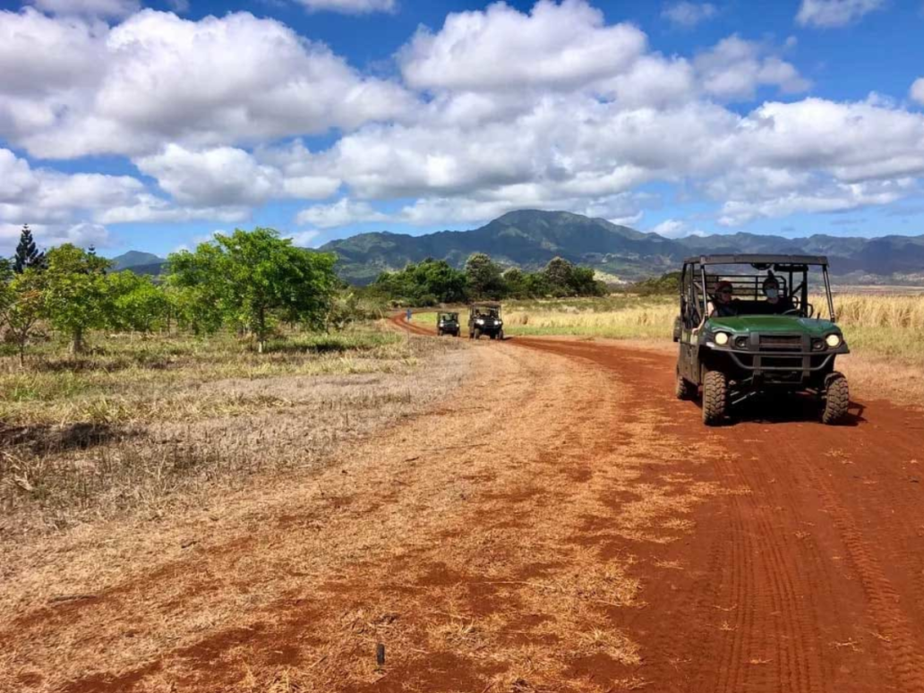 North Shore Eco Tours