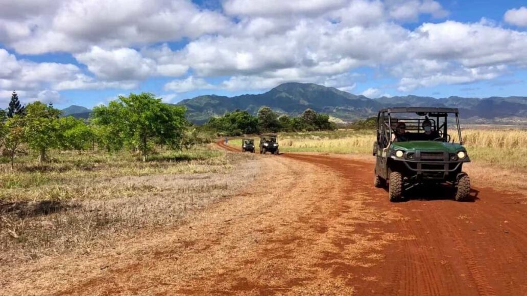 North Shore Eco Tours