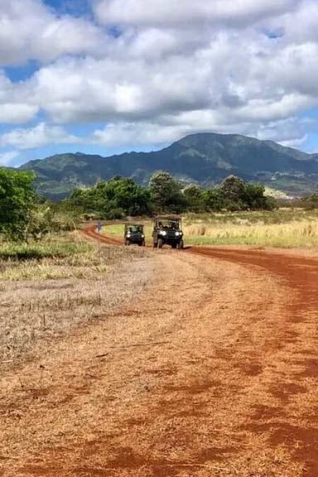 North Shore Eco Tours