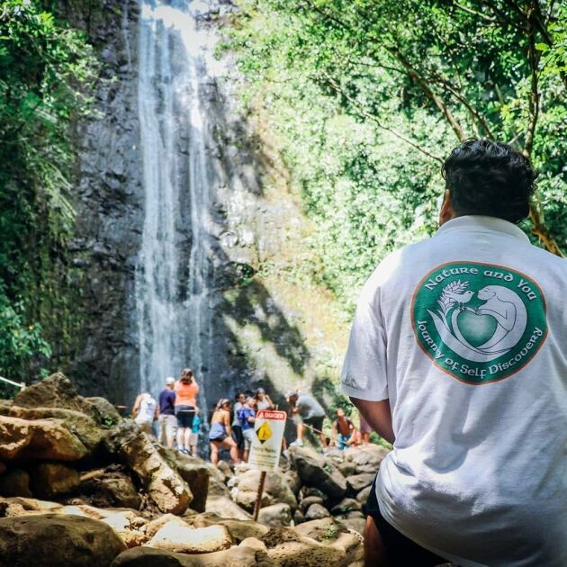 Hike at Manoa Falls with Lunch at Tantalus Lookout