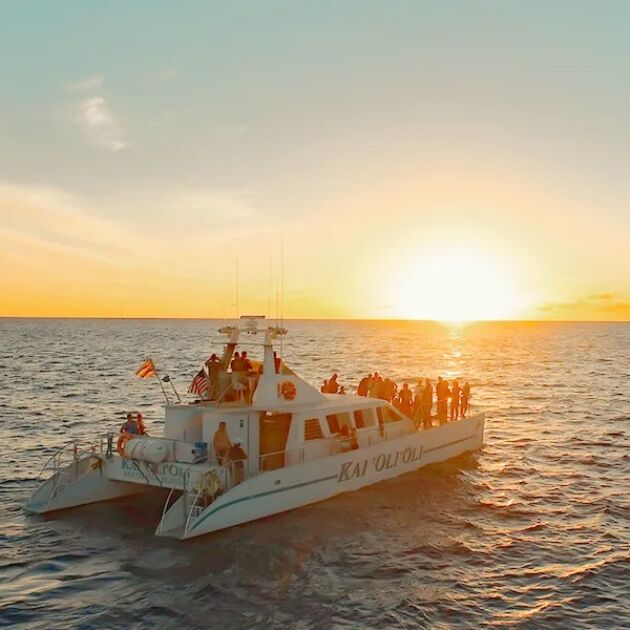 Sunset Dinner Cruise with Cocktails & Snorkel Tour - Ocean Joy