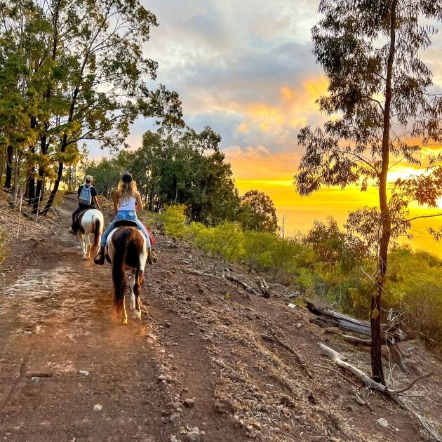 Palehua Trail Rides