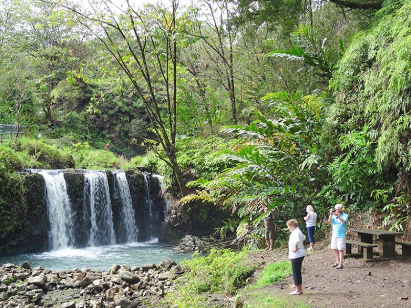 10 Best Road to Hana Tours - Hawaii Travel Guide