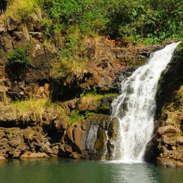 North Shore Waterfall Swim & Hike Tour at Waimea Valley