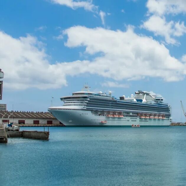 Shore Excursion for Cruise Line Guests - Pearl Harbor & Honolulu Sightseeing