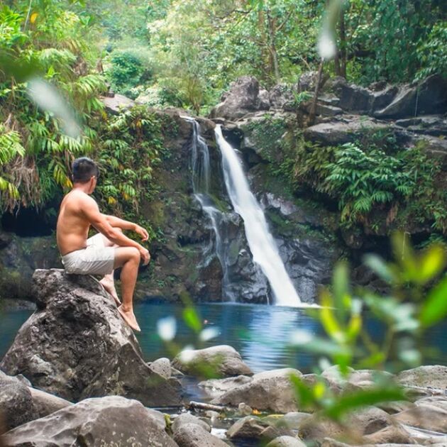 3-Hour Hana Rainforest Tour - Hike Maui