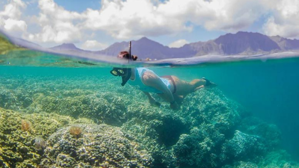 snorkeling in crystal clear waters