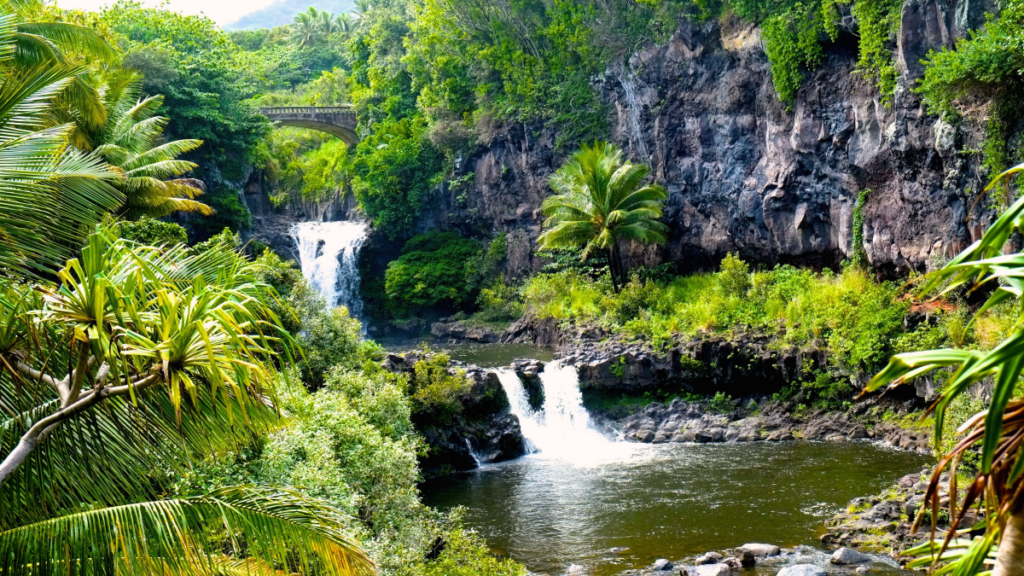 Unique Things To Do In Maui Header 1024x576 