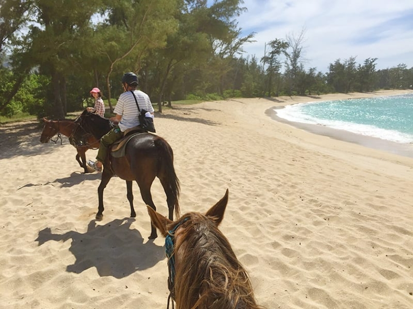 Horseback Riding North SHore