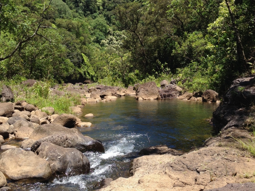 Hiking Tour north shore