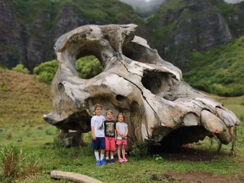 Kualoa Ranch