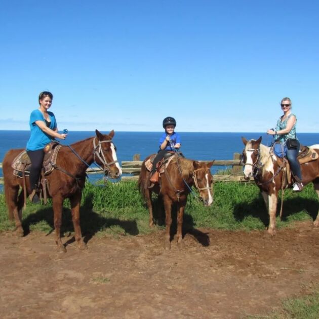 2-Hour Horseback Riding Tour at Circle M Ranch