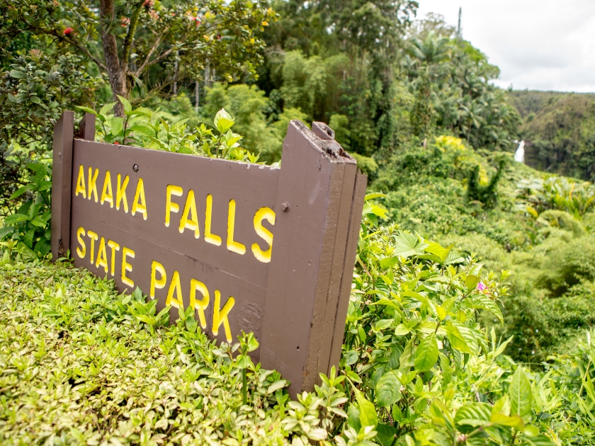 Akaka Falls - Hawaii Travel Guide