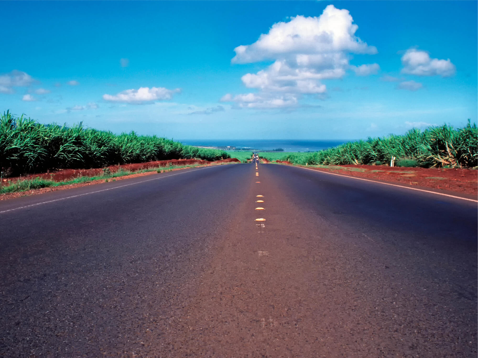 Road to Haleiwa