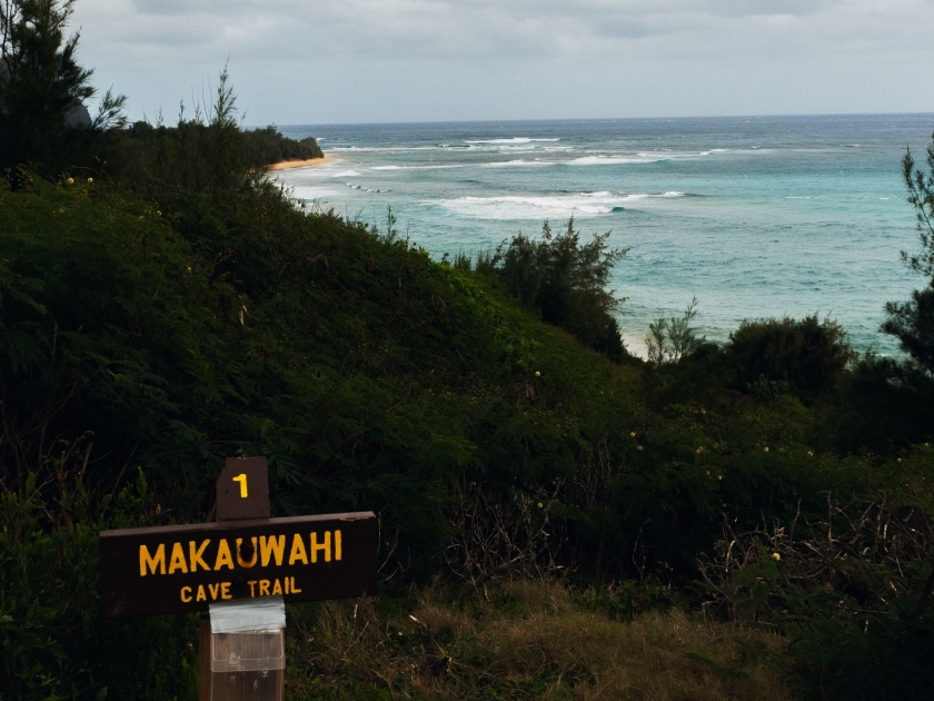 Road to Makauwahi cave, Kauai Hawaii USA