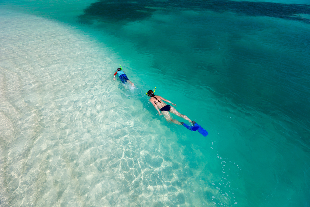 Top 10 Snorkel Tours On Oahu - Hawaii Travel Guide