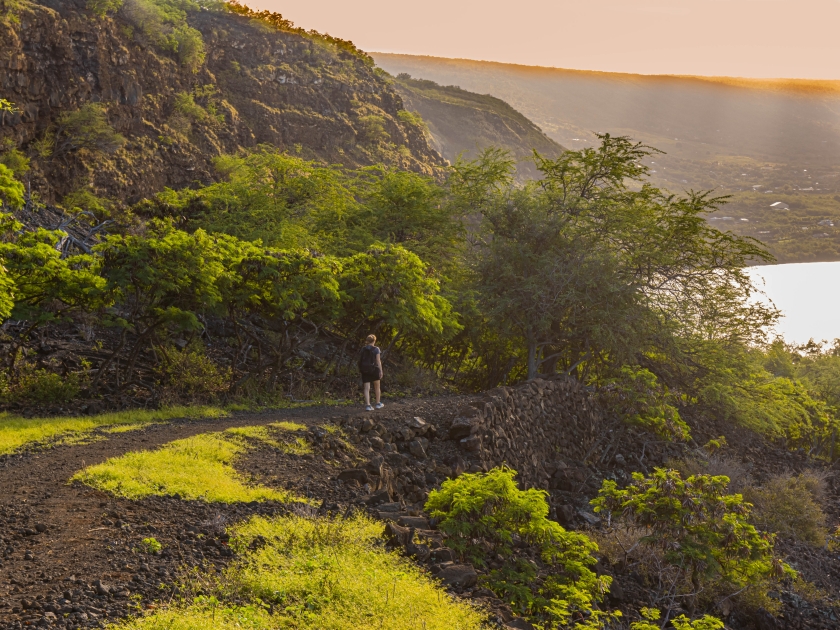 Female Hiker and The Volcanic Landscape Above Kealakekua Bay on The Captain Cook Monument Trail, Captain Cook, Hawaii Island, Hawaii, USA