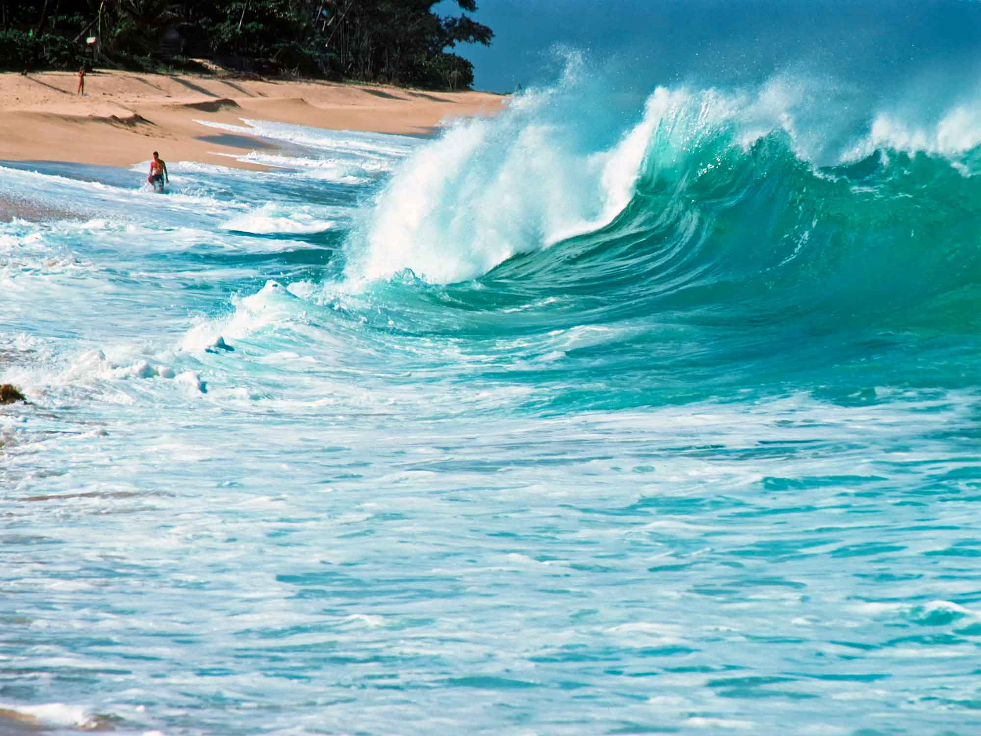 Sunset Beach Hawaii Travel Guide