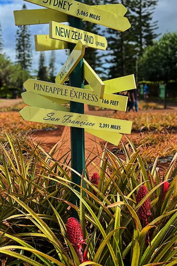 Dole Plantation