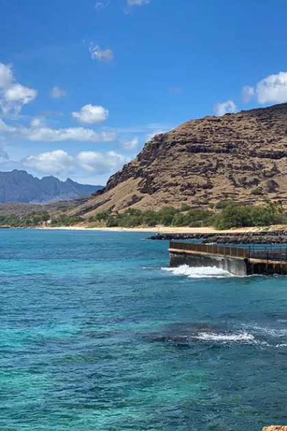 Electric Beach Snorkeling Spot