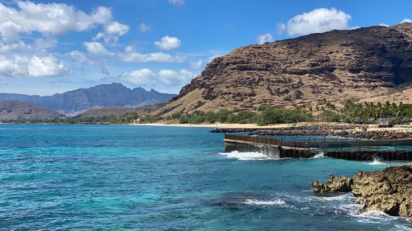 Electric Beach Snorkeling Spot